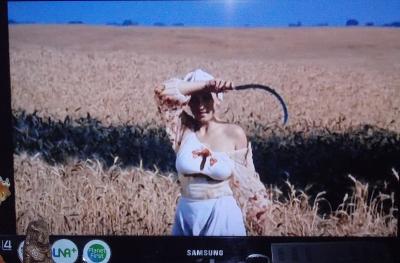 Прикрепленное изображение: DSCN1878.JPG